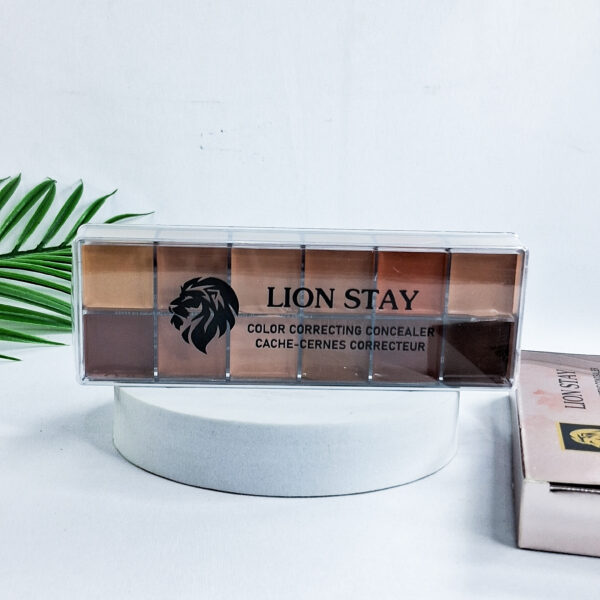 Lion Stay Color Correcting Concealer