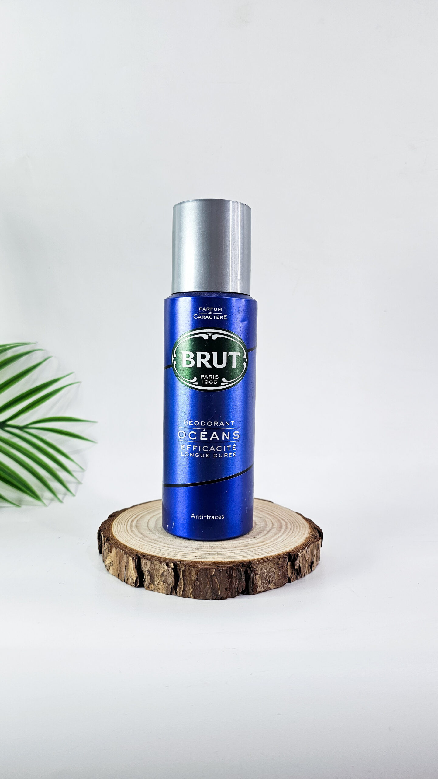 Blur-ocean-0.19kg-scaled-1.jpg